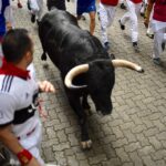 Encierro, Pamplona 7 de julio de 2018