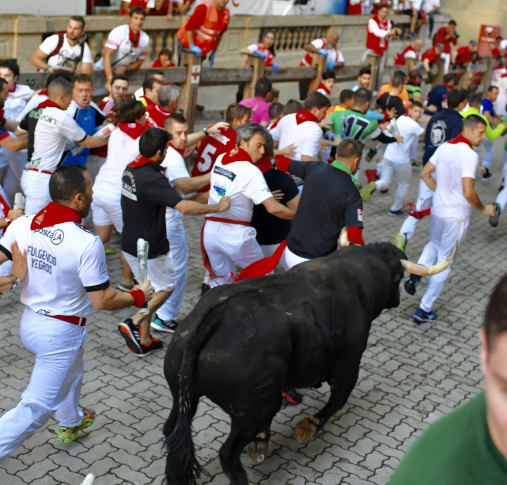 Pamplona, 9 de julio de 2018. Encierro toros Cebada Gago