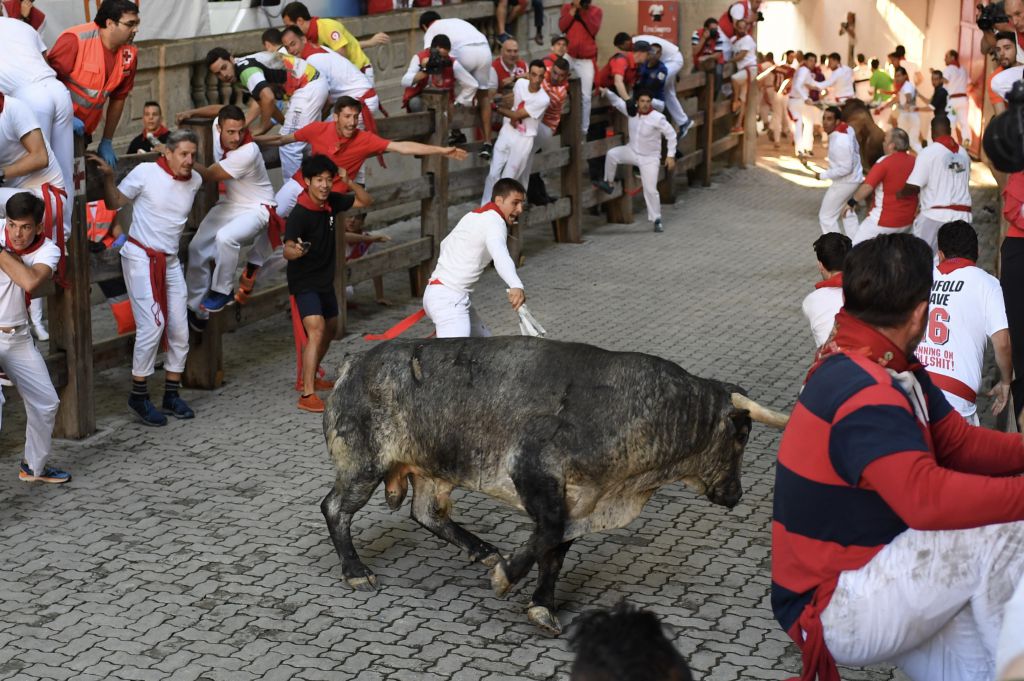 Pamplona, 9 de julio de 2018. Encierro toros Cebada Gago