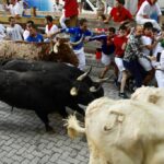 Pamplona, 10 de julio de 2018. Encierro toros Fuente Ymbro
