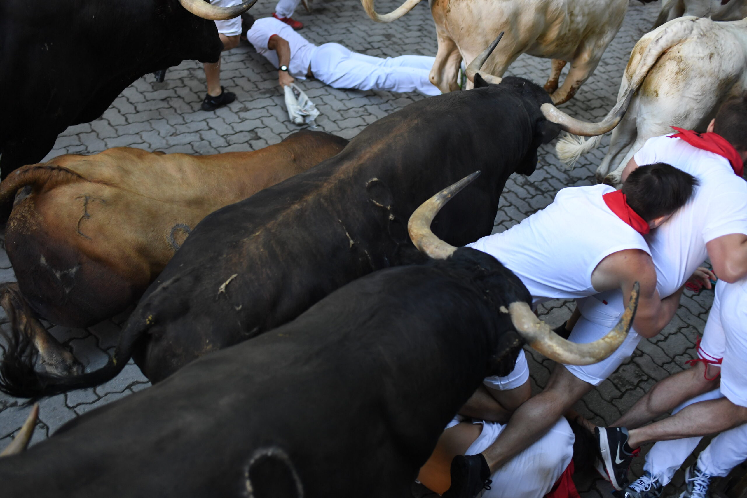 Pamplona, 11 de julio de 2018. Encierro toros de Núñez del Cuvillo