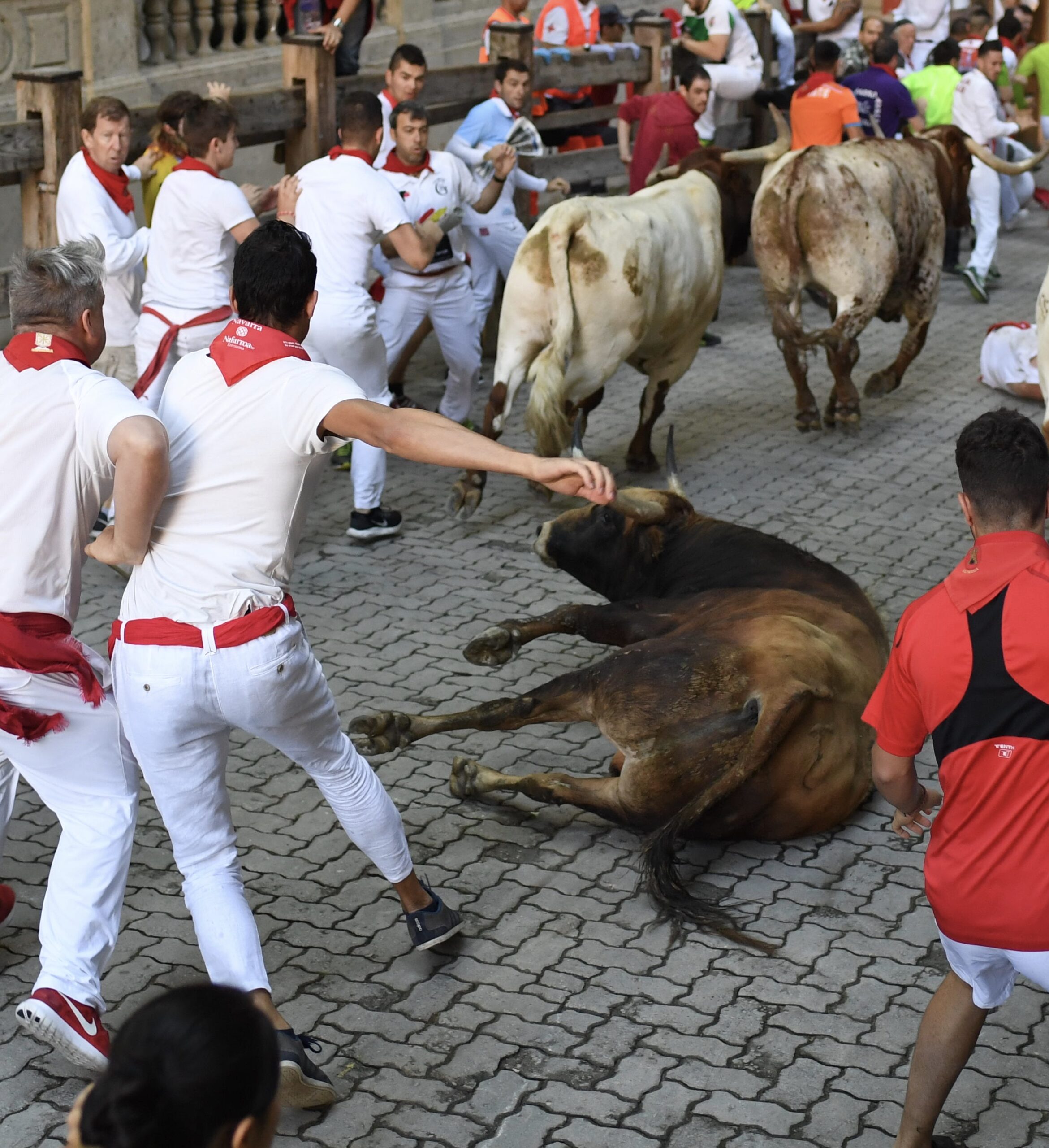 Pamplona, 11 de julio de 2018. Encierro toros de Núñez del Cuvillo