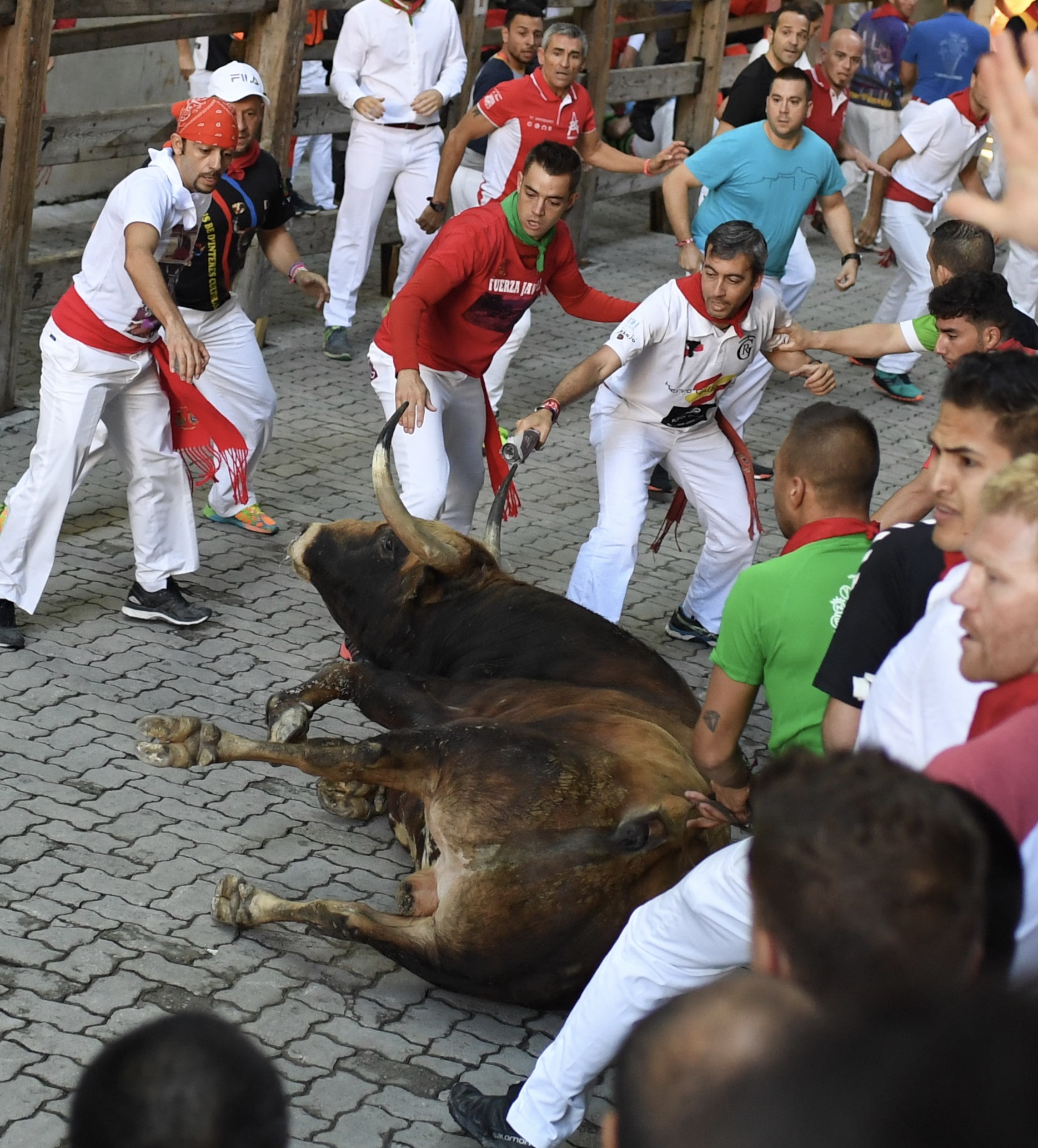 Pamplona, 11 de julio de 2018. Encierro toros de Núñez del Cuvillo
