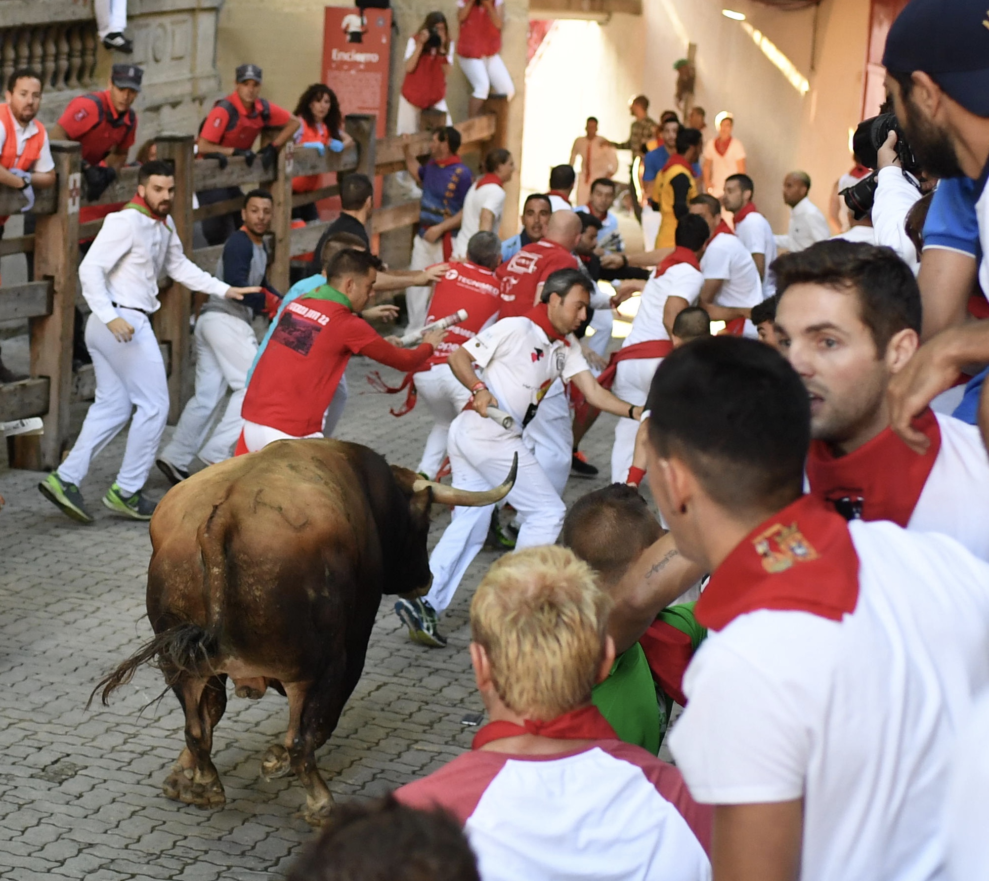 Pamplona, 11 de julio de 2018. Encierro toros de Núñez del Cuvillo
