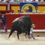 Pamplona, 13 de julio de 2018