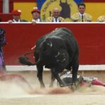 Pamplona, 13 de julio de 2018