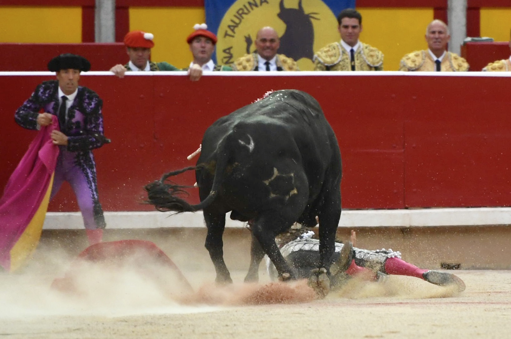 Pamplona, 13 de julio de 2018