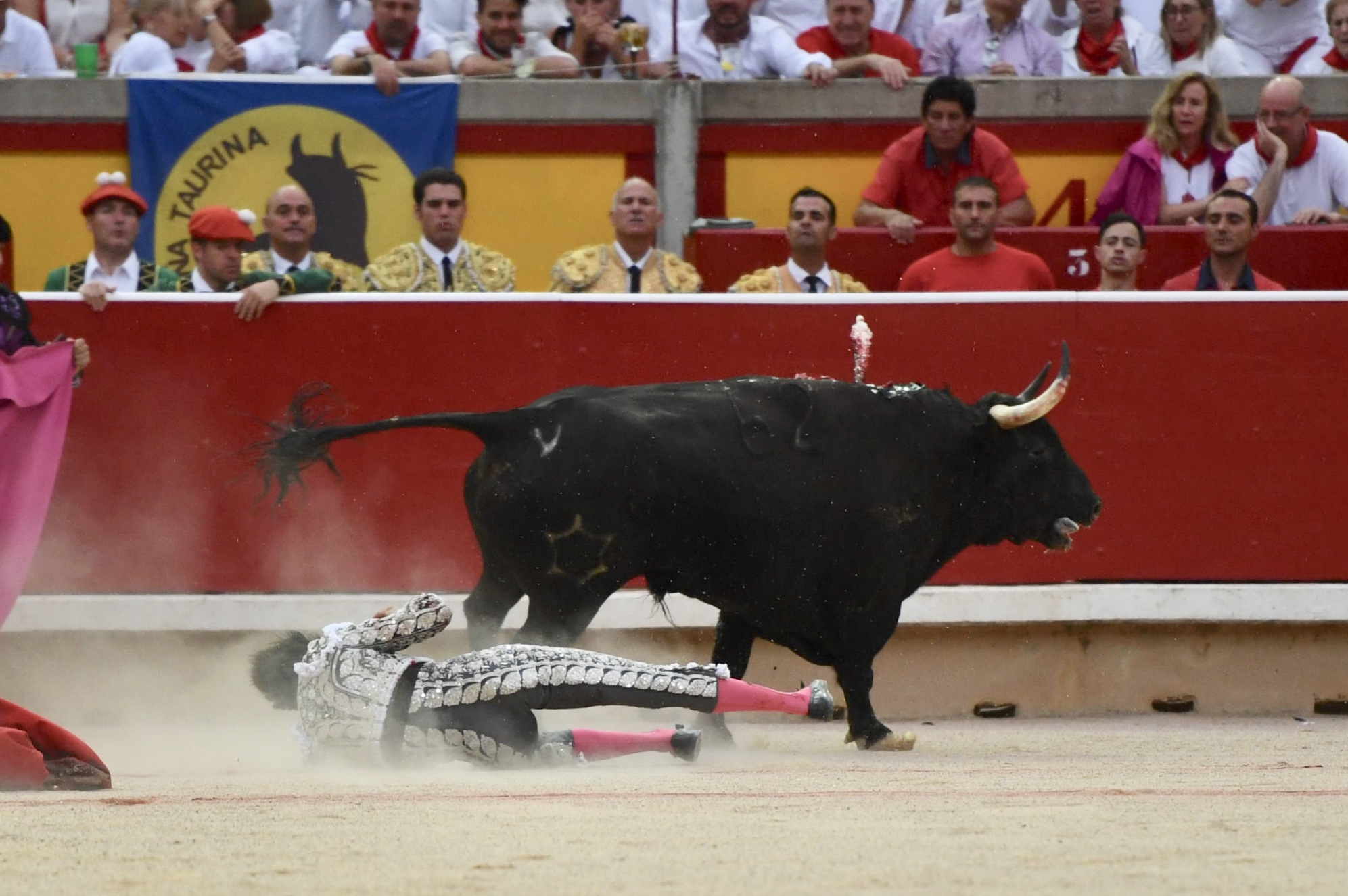 Pamplona, 13 de julio de 2018