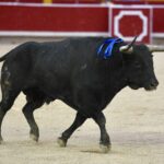 Pamplona, 13 de julio de 2018