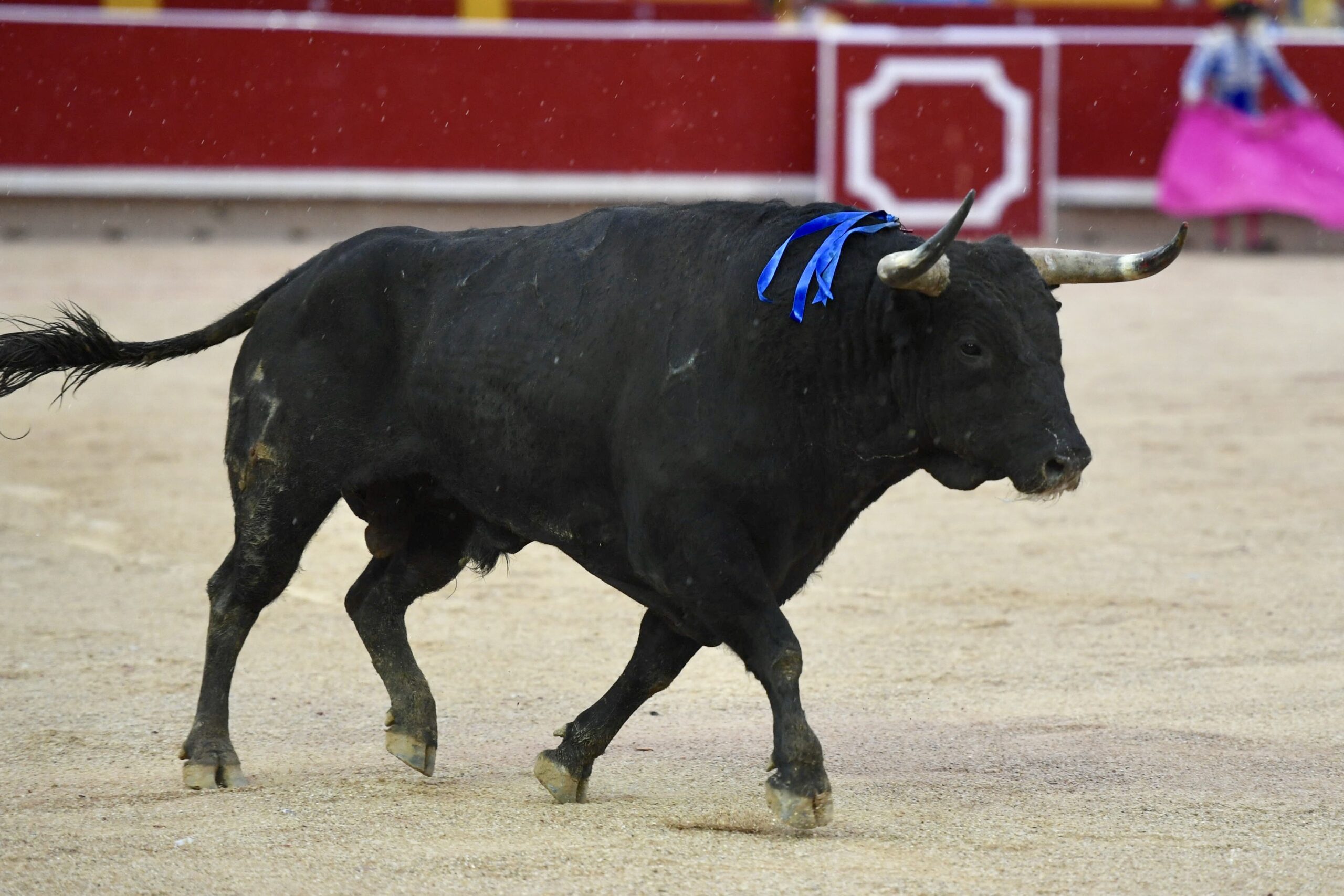 Pamplona, 13 de julio de 2018