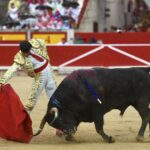 Pamplona, 13 de julio de 2018