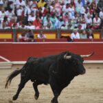 Pamplona, 13 de julio de 2018