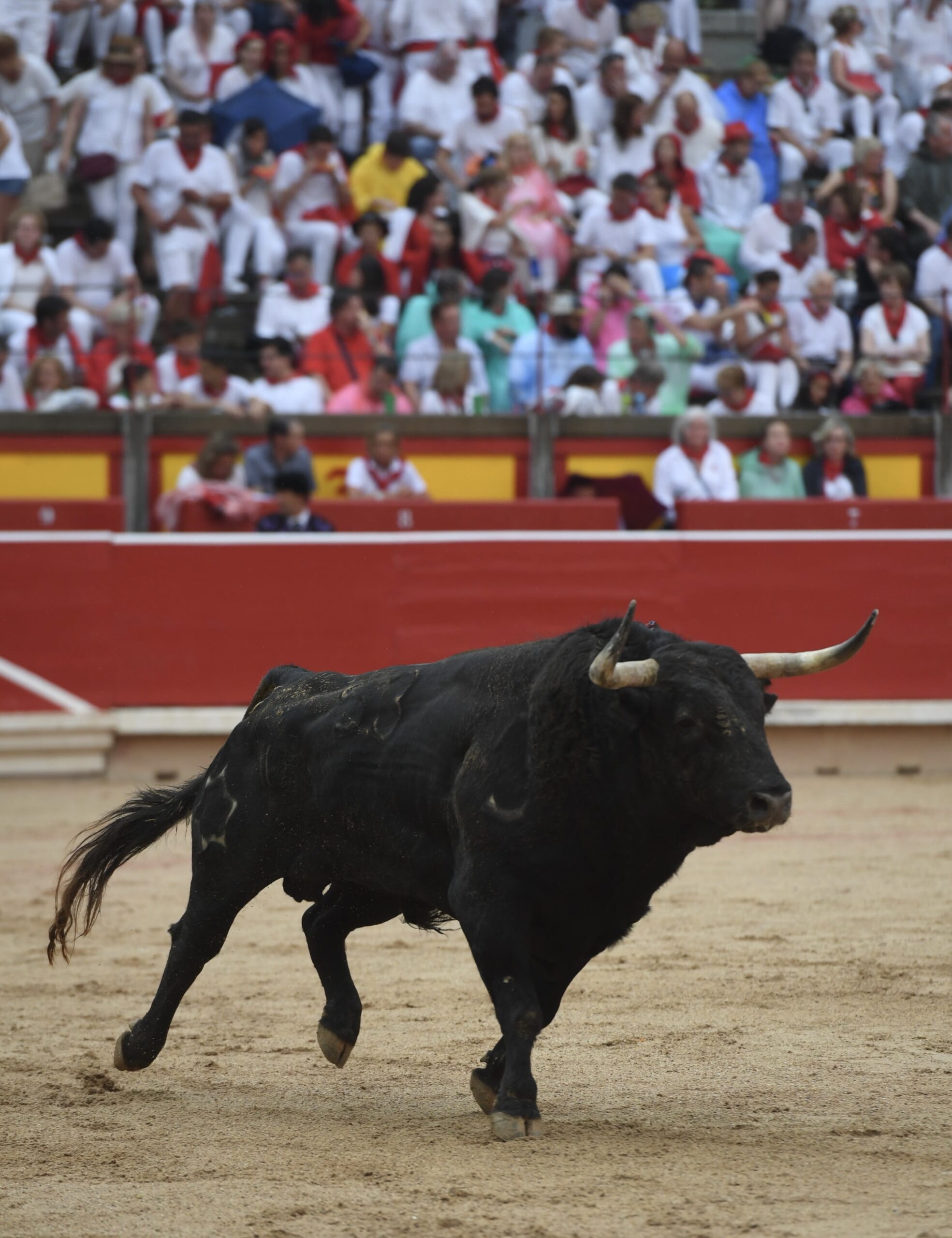 Pamplona, 13 de julio de 2018