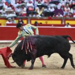 Pamplona, 13 de julio de 2018