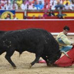 Pamplona, 13 de julio de 2018