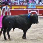 Pamplona, 13 de julio de 2018