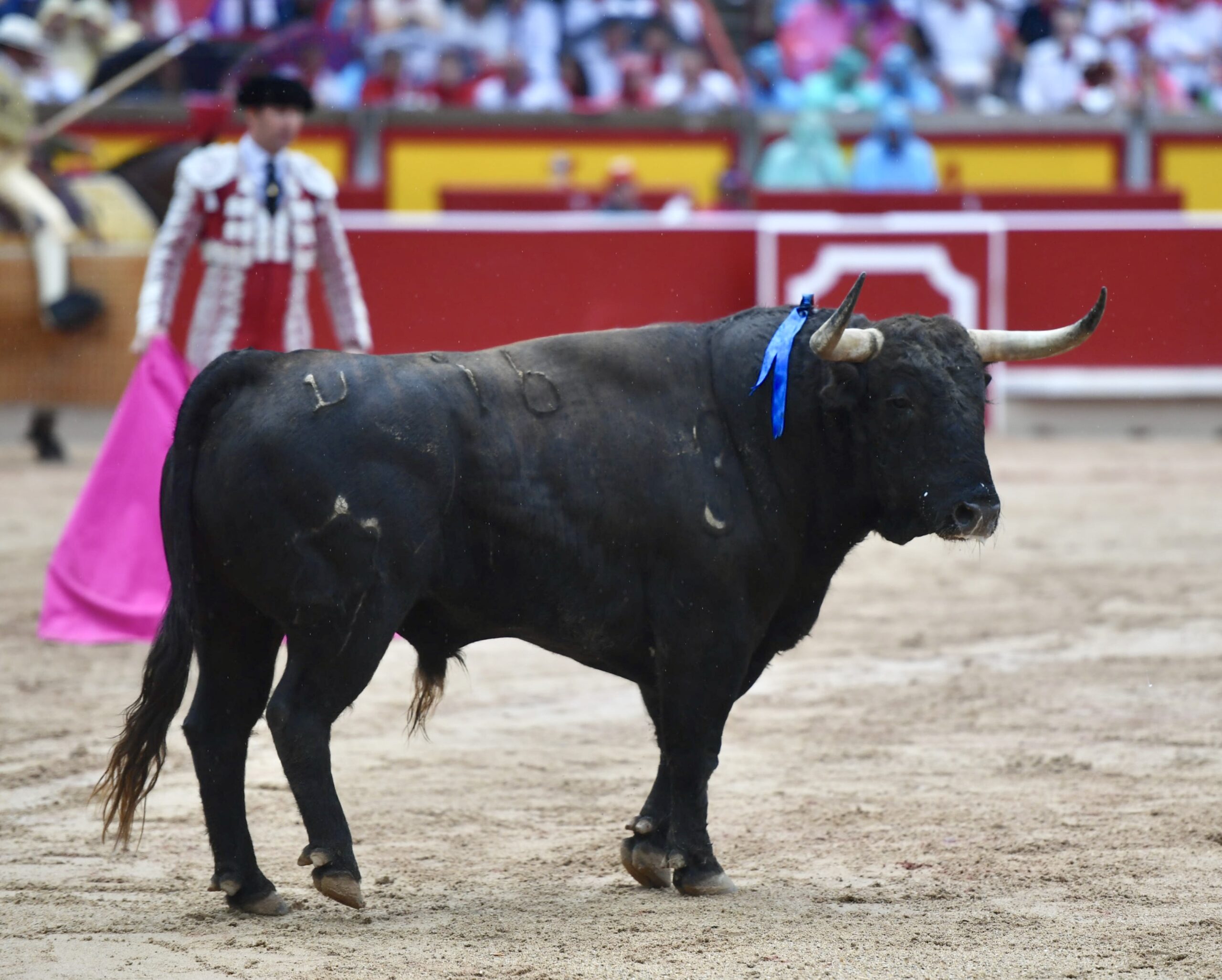 Pamplona, 13 de julio de 2018