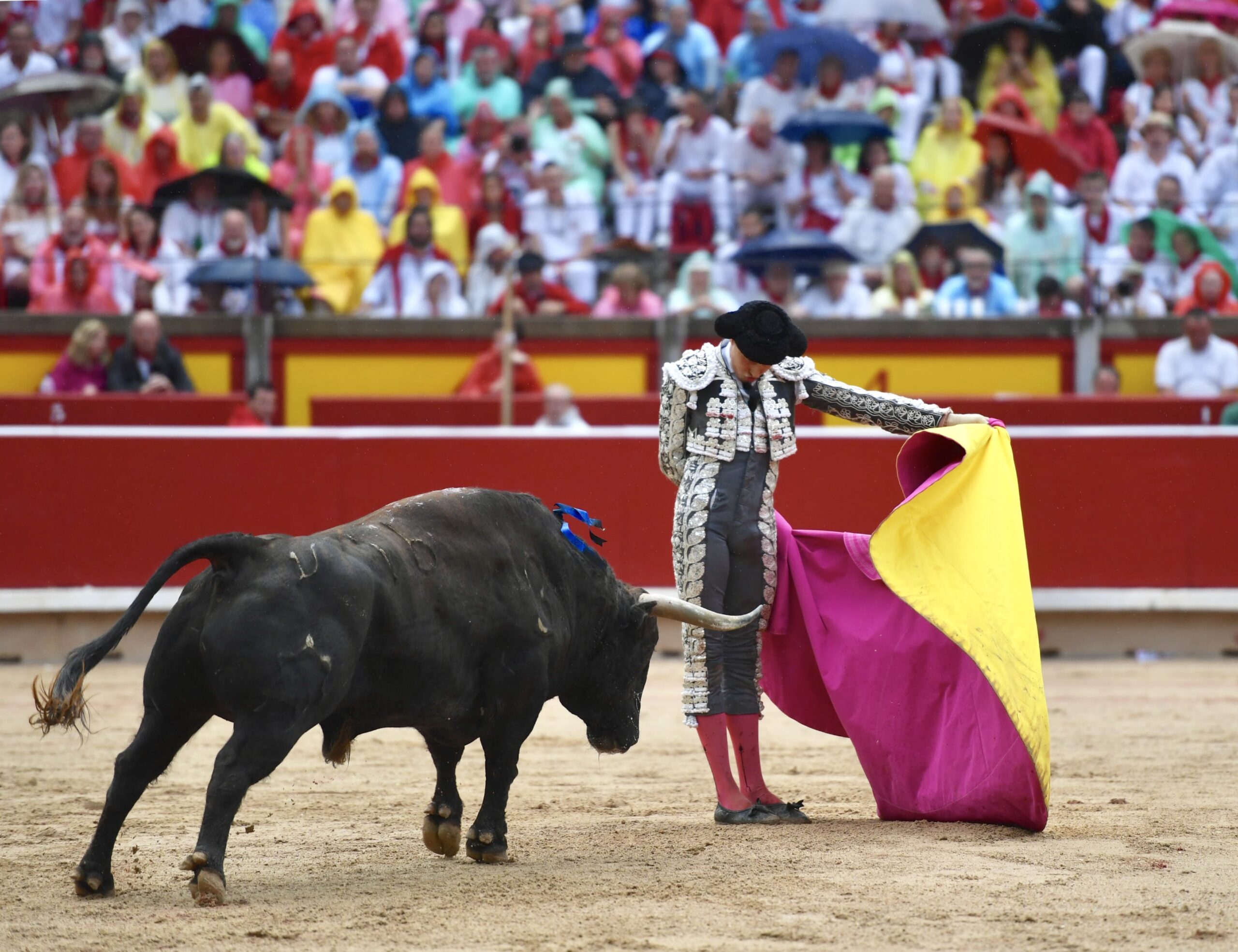Pamplona, 13 de julio de 2018