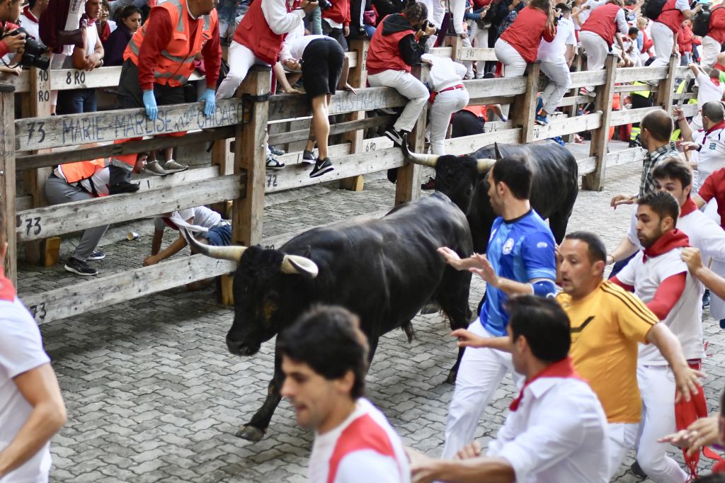 Encierro Miura. Pamplona, 14 de julio de 2018