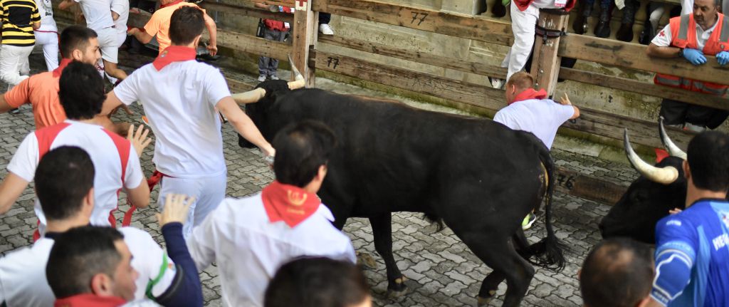 Encierro Miura. Pamplona, 14 de julio de 2018