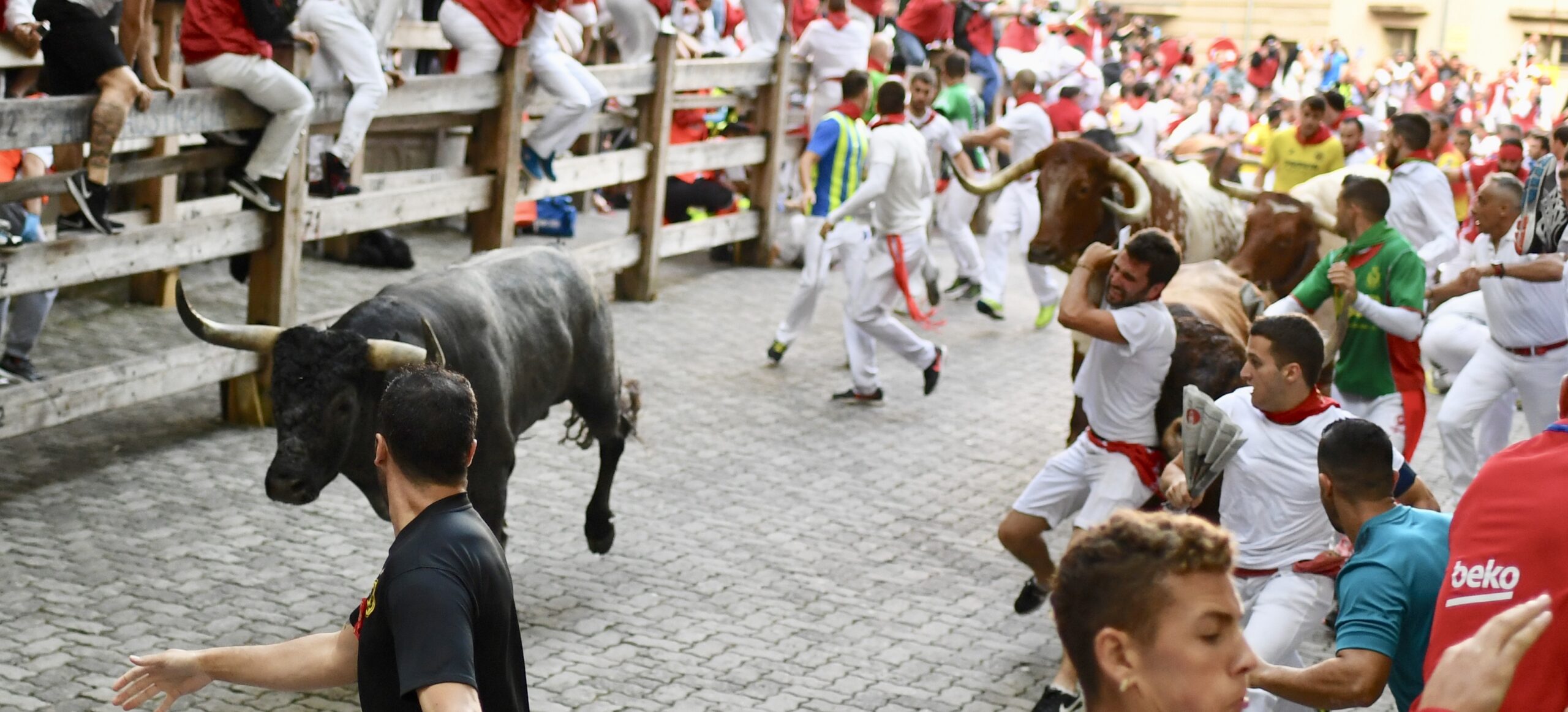 Encierro Miura. Pamplona, 14 de julio de 2018
