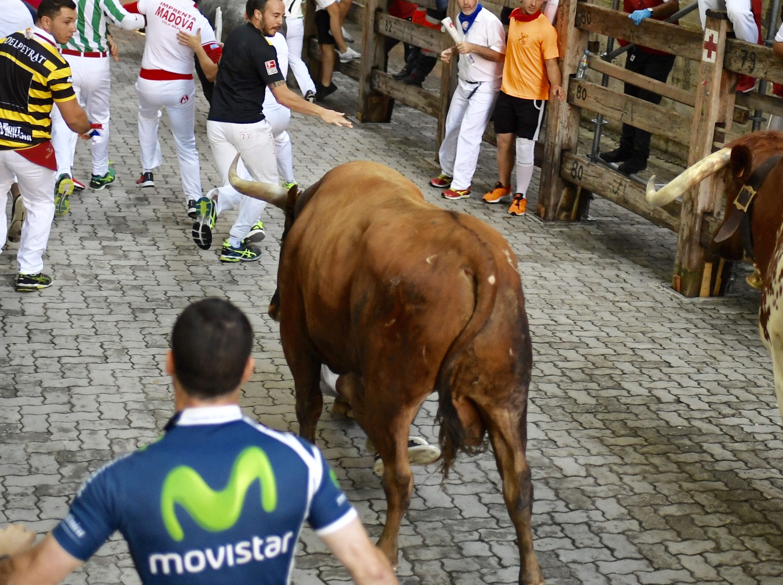 Encierro Miura. Pamplona, 14 de julio de 2018
