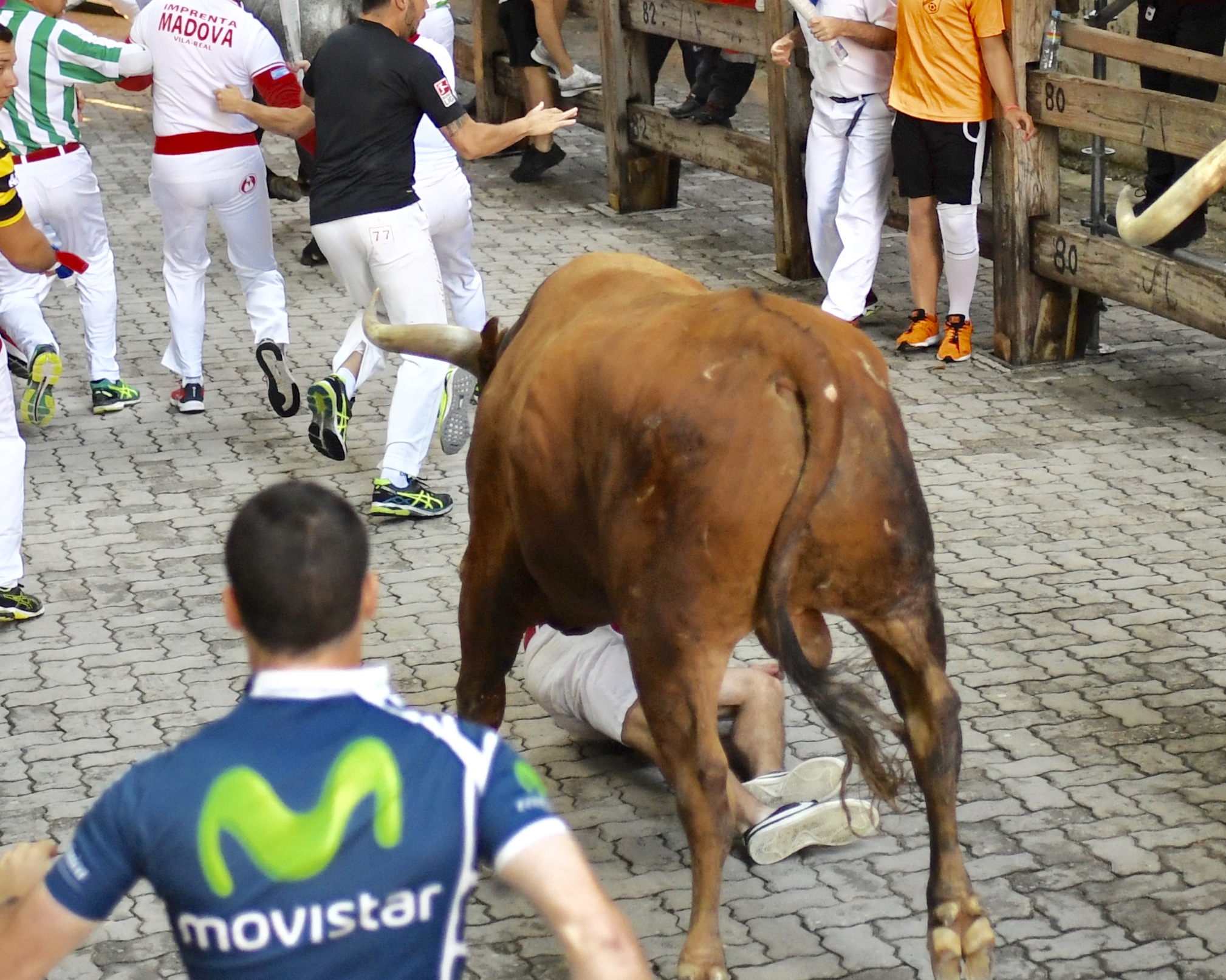 Encierro Miura. Pamplona, 14 de julio de 2018