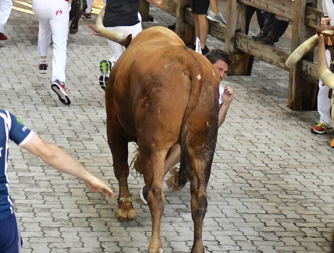 Encierro Miura. Pamplona, 14 de julio de 2018