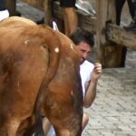 Encierro Miura. Pamplona, 14 de julio de 2018