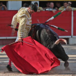 Chateaurenard (Francia), domingo 22 de julio de 2018