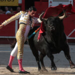 Chateaurenard (Francia), domingo 22 de julio de 2018