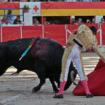 Chateaurenard (Francia), domingo 22 de julio de 2018