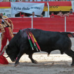 Chateaurenard (Francia), domingo 22 de julio de 2018