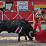 Chateaurenard (Francia), domingo 22 de julio de 2018