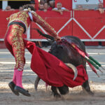 Chateaurenard (Francia), domingo 22 de julio de 2018