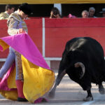 Chateaurenard (Francia), domingo 22 de julio de 2018