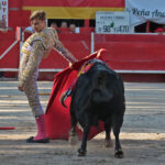Chateaurenard (Francia), domingo 22 de julio de 2018