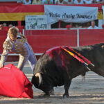 Chateaurenard (Francia), domingo 22 de julio de 2018