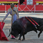 Chateaurenard (Francia), domingo 22 de julio de 2018
