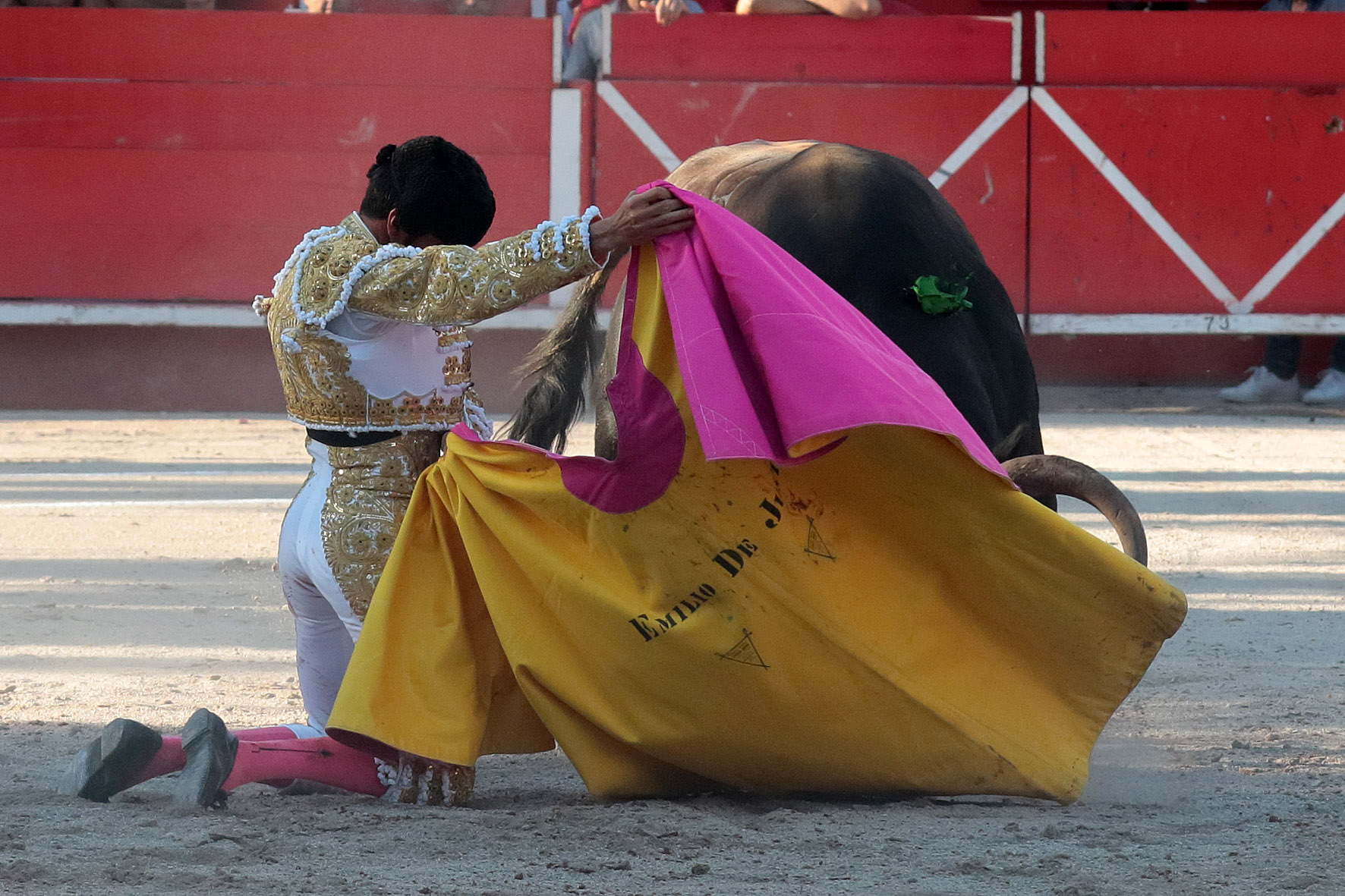 Chateaurenard (Francia), domingo 22 de julio de 2018