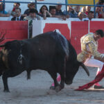 Chateaurenard (Francia), domingo 22 de julio de 2018