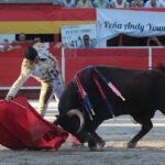 Chateaurenard (Francia), domingo 22 de julio de 2018