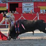 Chateaurenard (Francia), domingo 22 de julio de 2018