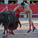 Chateaurenard (Francia), domingo 22 de julio de 2018