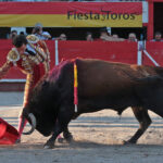 Chateaurenard (Francia), domingo 22 de julio de 2018
