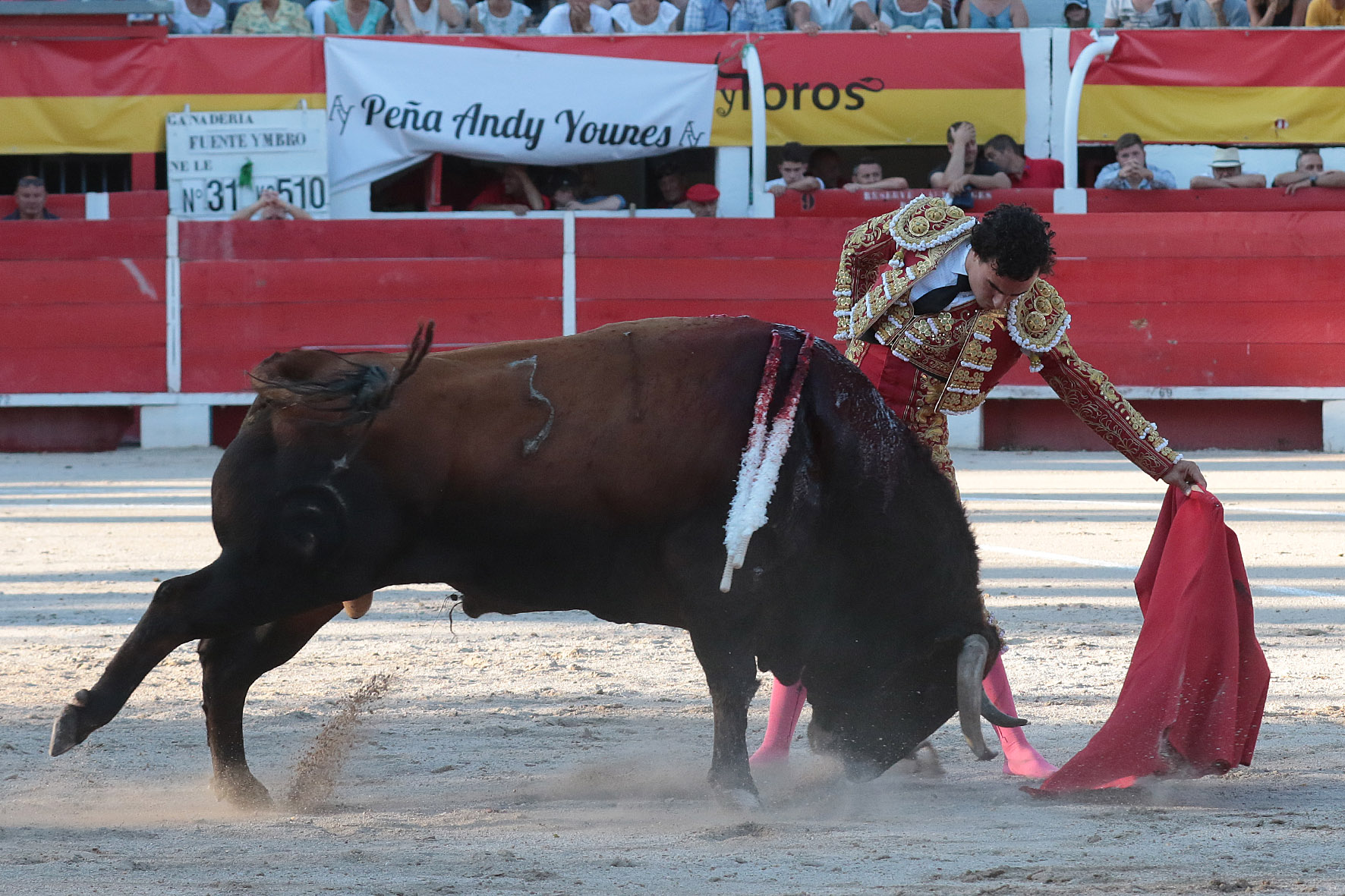 Chateaurenard (Francia), domingo 22 de julio de 2018