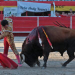 Chateaurenard (Francia), domingo 22 de julio de 2018