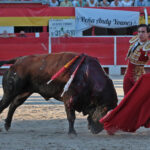 Chateaurenard (Francia), domingo 22 de julio de 2018