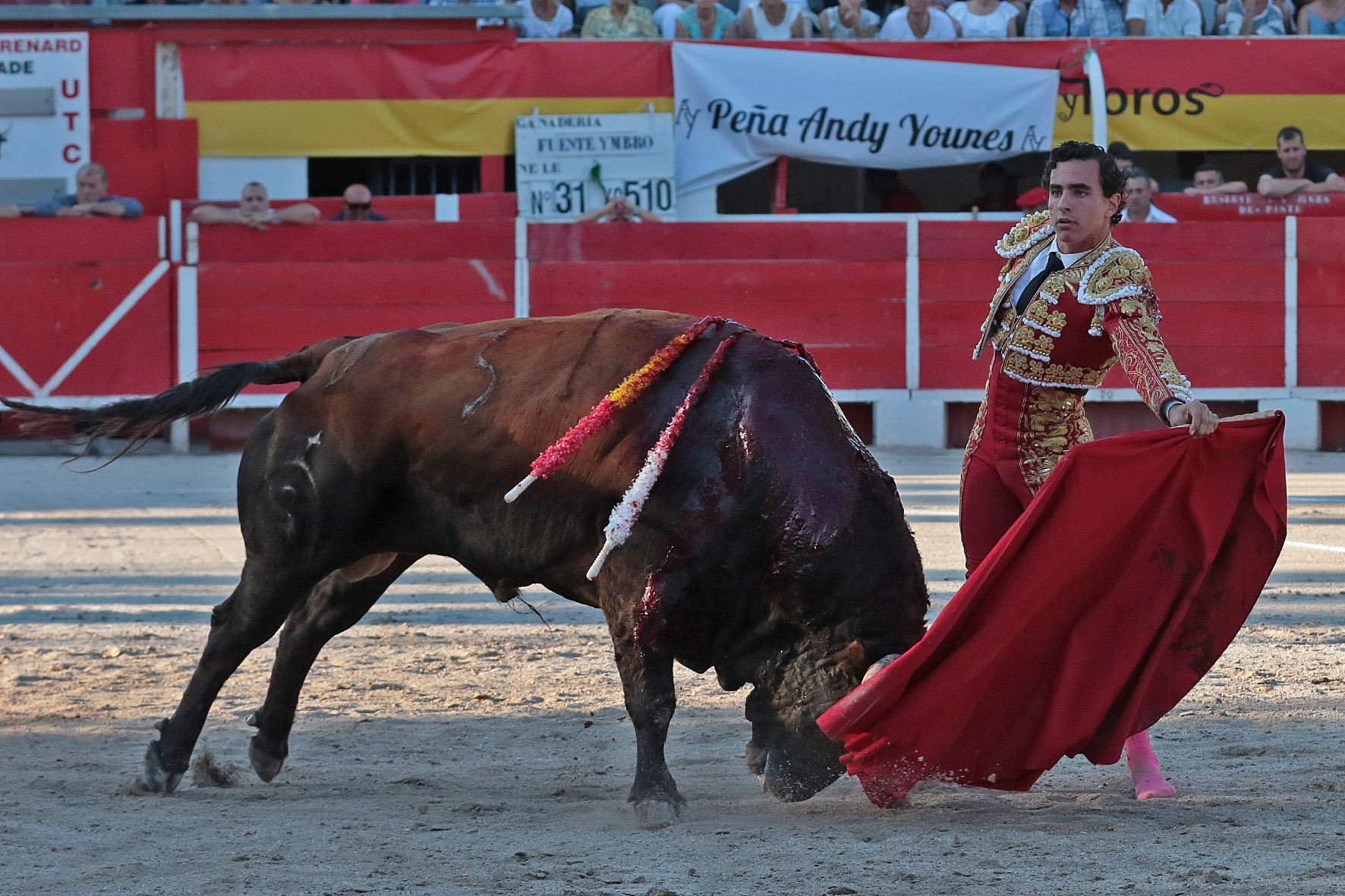Chateaurenard (Francia), domingo 22 de julio de 2018