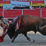 Chateaurenard (Francia), domingo 22 de julio de 2018